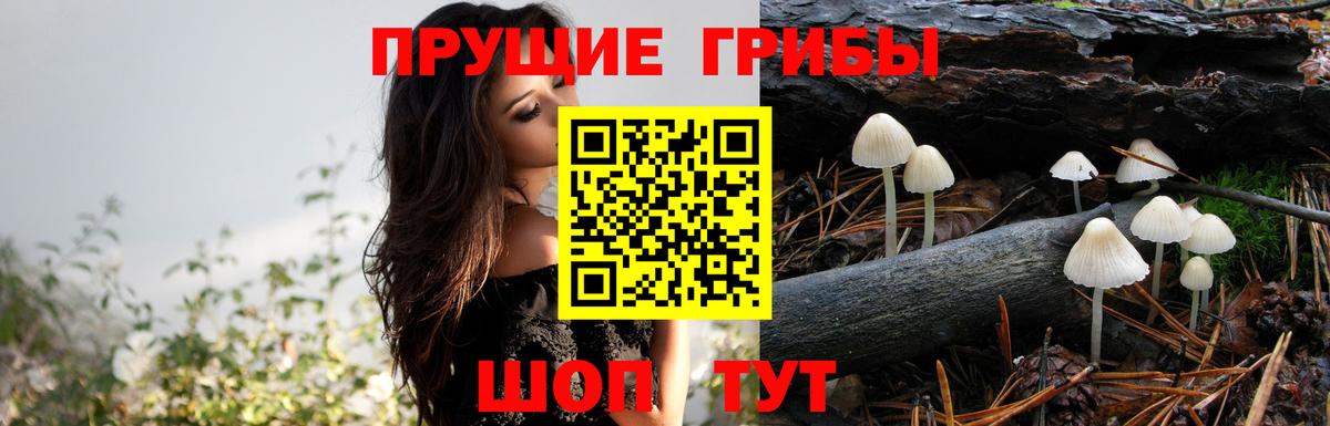 купить наркотики сайты  Вход с VPN  Невинномысск  Галлюциногенные грибы прущие грибы 