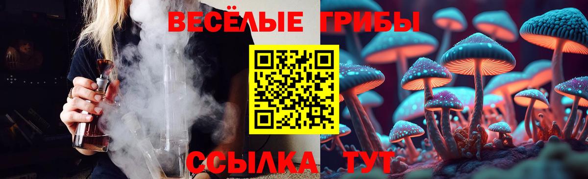 Галлюциногенные грибы Psilocybine cubensis Невинномысск